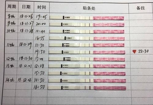 排卵弱陽不是好事