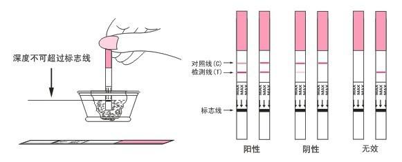 認(rèn)識(shí)排卵試紙