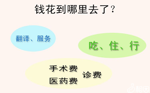 國外做試管嬰兒的費(fèi)用.png